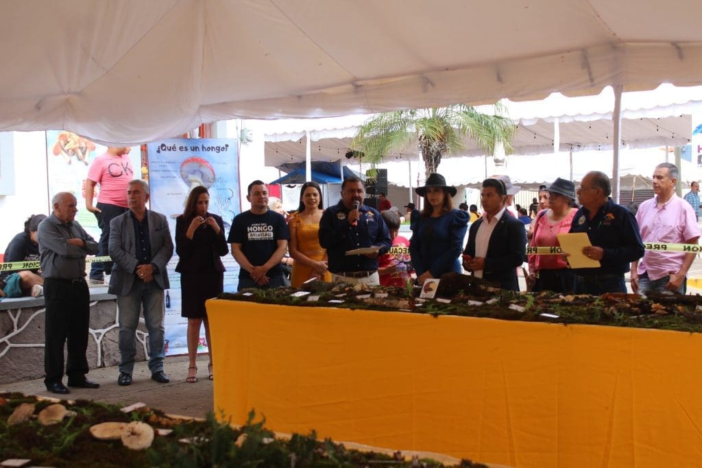 Exhibición de hongos