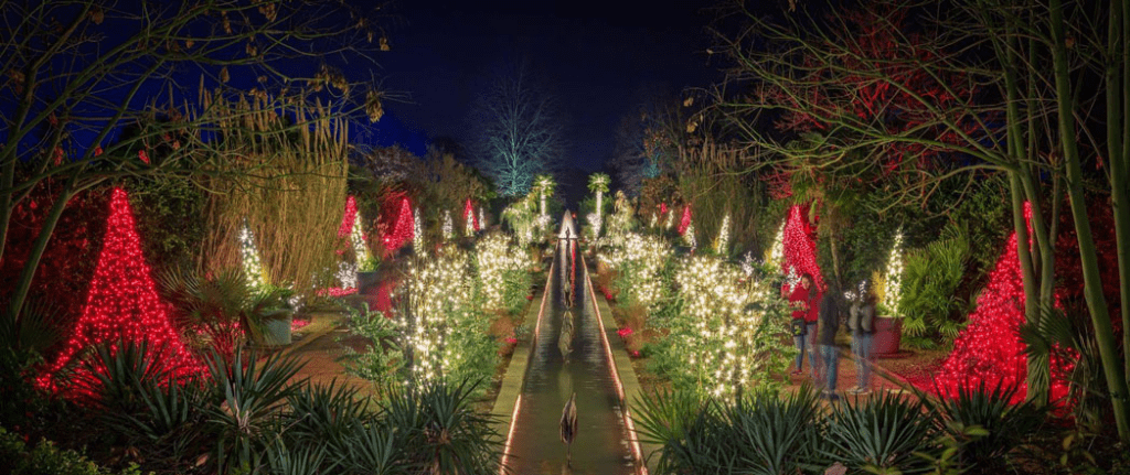 Holidays at the Garden