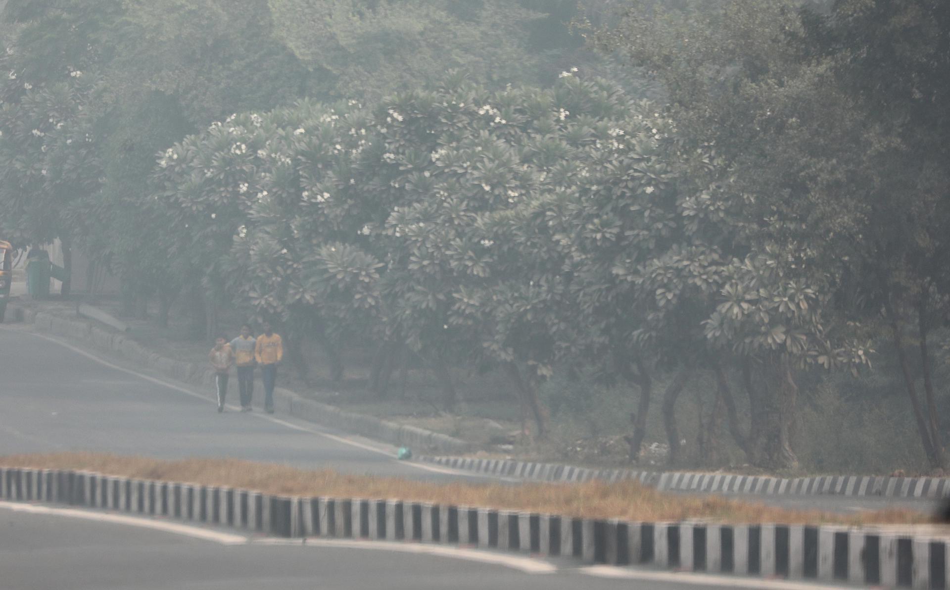 EFE/EPA/HARISH TYAGI