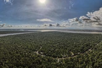 Fotografía aérea tomada con un dron una zona de la Floresta Amazónica, en el estado de Pará, norte de Brasil. EFE/ Antonio Lacerda