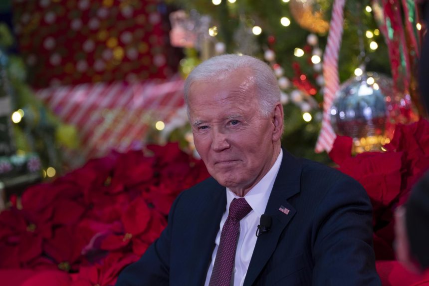 El presidente de Estados Unidos, Joe Biden, en una foto de archivo. EFE/EPA/CHRIS KLEPONIS / POOL