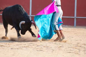 Historia y legado de la tauromaquia en México