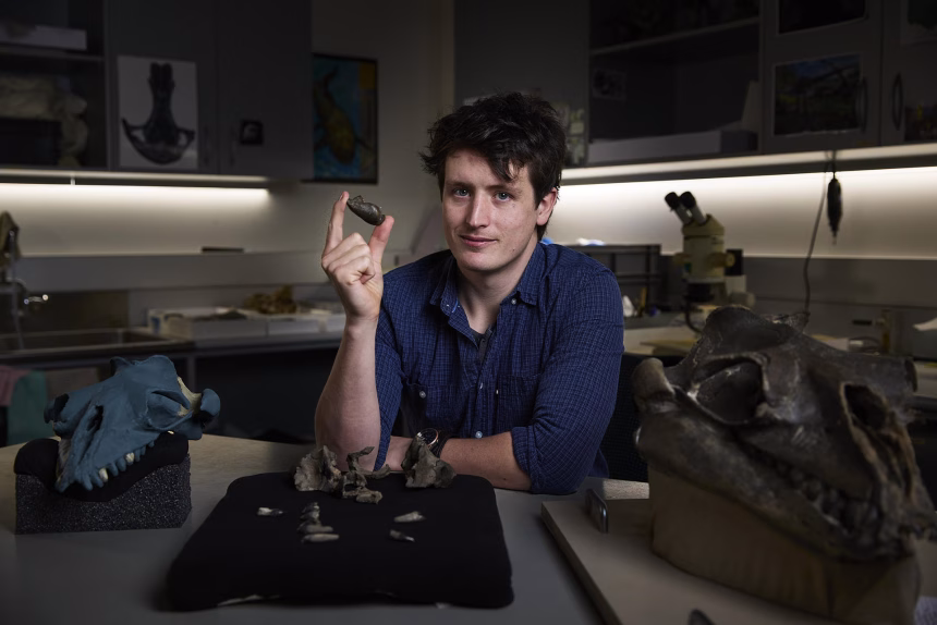 Fotografía cedida por Museums Victoria del coautor del estudio Ruairidh Duncan sosteniendo un trozo de fósil del  'Janjucetus dullardi'. EFE/ Tom Breakwell /Museums Victoria /SOLO USO EDITORIAL NO VENTAS /SOLO DISPONIBLE PARA ILUSTRAR LA NOTICIA QUE ACOMPAÑA (CRÉDITO OBLIGATORIO)
