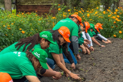 Fotografía del 18 de octubre de 2025 cedida por Iberdrola México que muestra a personas participando en una actividad durante la Semana Internacional del Voluntariado 2025 en Xochimilco (México). EFE/ Iberdrola México /SOLO USO EDITORIAL/NO VENTAS/ SOLO DISPONIBLE PARA ILUSTRAR LA NOTICIA QUE ACOMPAÑA (CRÉDITO OBLIGATORIO)