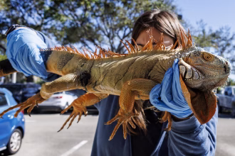 EFE/EPA/CRISTOBAL HERRERA-ULASHKEVICH